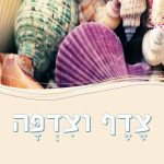 צילום של צדפים וצדפות צדף וצדפה