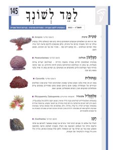 למד לשונך 145