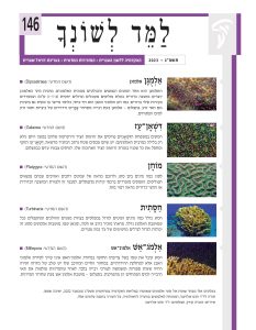 למד לשונך 146