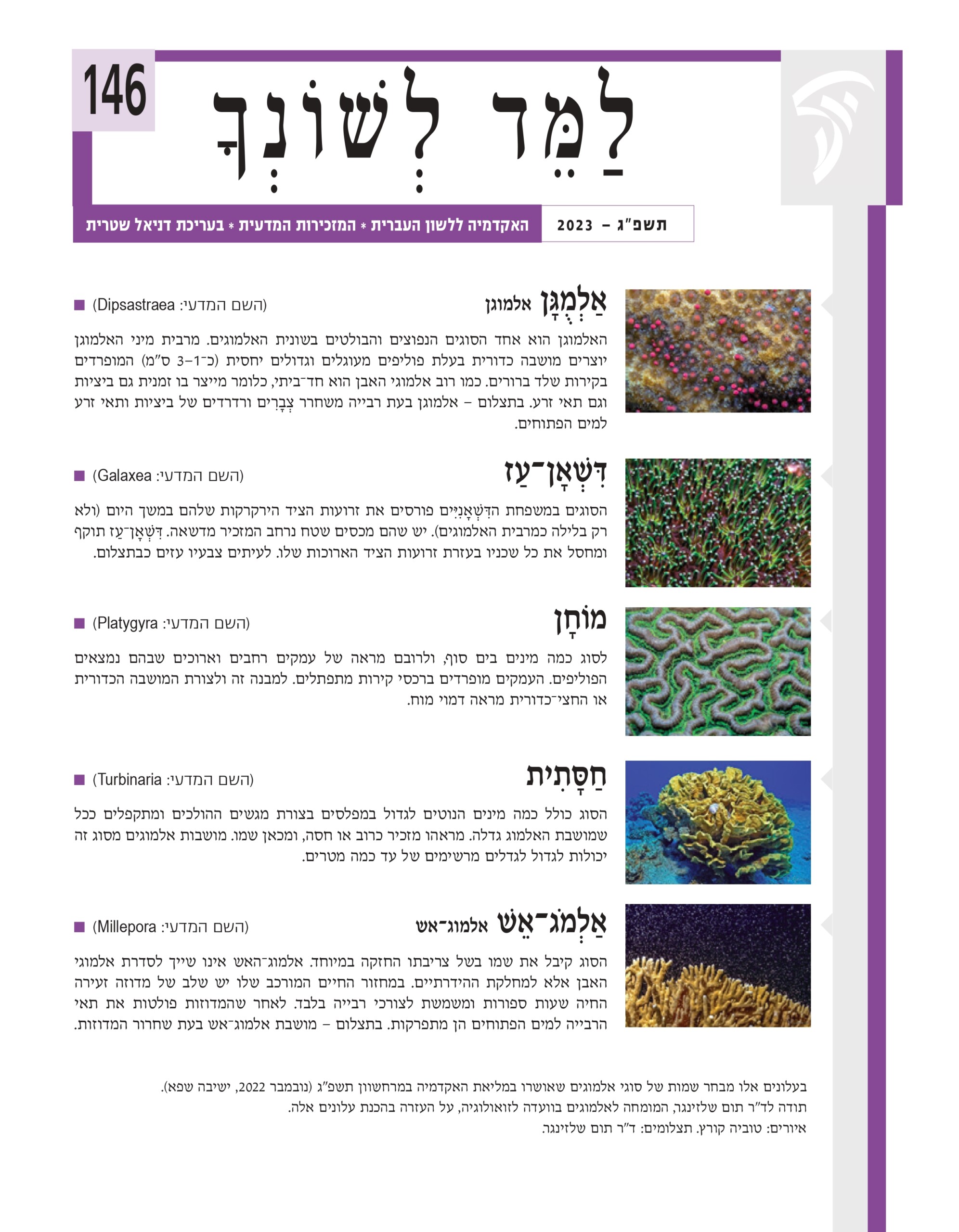כריכת למד לשונך 146 אַ לְמֻ גָּ ן אלמוגן (הש המדעי: Dipsastraea■ ( האלמוגן הוא אחד הסוגים הנפוצים והבולטים בשונית האלמוגים. מרבית מיני האלמוגן יוצרים מושבה כדורית בעלת פוליפים מעוגלים וגדולים יחסית (כ־1–3 ס"מ) המופרדים בקירות שלד ברורים. כמו רוב אלמוגי האבן הוא חד־ביתי, כלומר מייצר בו זמנית גם ביציות וגם תאי זרע. בתצלום – אלמוגן בעת רבייה משחרר צְ בָ רִ ים ורדרדים של ביציות ותאי זרע למים הפתוחים. הסוגים במשפחת הדִּ שְׁ אָ נִיִּים פורסים את זרועות הציד הירקרקות שלהם במשך היום (ולא ַ דִּ שְׁ אָ ן־עז (הש המדעי: Galaxea■ ( רק בלילה כמרבית האלמוגים). יש שהם מכסים שטח נרחב המזכיר מדשאה. דִּ שְׁ אָ ן־עַ ז תוקף ומחסל את כל שכניו בעזרת זרועות הציד הארוכות שלו. לעיתים צבעיו עזים כבתצלום. מוֹחָ ן (הש המדעי: Platygyra■ ( לסוג כמה מינים בים סוף, ולרובם מראה של עמקים רחבים וארוכים שבהם נמצאים הפוליפים. העמקים מופרדים ברכסי קירות מתפתלים. למבנה זה ולצורת המושבה הכדורית או החצי־כדורית מראה דמוי מוח. חַ סָּ תִ ית (הש המדעי: Turbinaria■ ( הסוג כולל כמה מינים הנוטים לגדול במפלסים בצורת מגשים ההולכים ומתקפלים ככל שמושבת האלמוג גדלה. מראהו מזכיר כרוב או חסה, ומכאן שמו. מושבות אלמוגים מסוג זה יכולות לגדול לגדלים מרשימים של עד כמה מטרים. אַ לְמֹג־אֵ שׁ אלמוג־אש (הש המדעי: Millepora■ ( הסוג קיבל את שמו בשל צריבתו החזקה במיוחד. אלמוג־האש אינו שייך לסדרת אלמוגי האבן אלא למחלקת ההידרתיים. במחזור החיים המורכב שלו יש שלב של מדוזה זעירה החיה שעות ספורות ומשמשת לצורכי רבייה בלבד. לאחר שהמדוזות פולטות את תאי הרבייה למים הפתוחים הן מתפרקות. בתצלום – מושבת אלמוג־אש בעת שחרור המדוזות