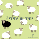 כבשים שחורות וכבשה לבנה והכיתוב: יחיד או יחידי?