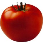 צילום עגבנייה
